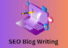 write SEO friendly blog posts for your website