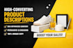 write high converting product descriptions for your  store