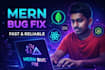 fix mern stack website bugs, react errors and backend issues