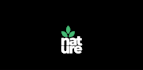 make 2d logo animation
