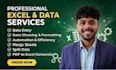 do excel data entry, cleaning, formatting, merging, splitting and PDF conversion