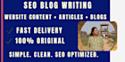 deliver engaging and SEO optimized blog and website content