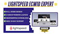 design, customize and develop your lightspeed ecwid, setup lightspeed website