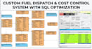 build custom software and data solutions