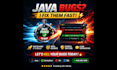 fix java bugs at low price