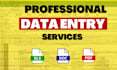 do data entry copypaste word docs and microsoft excel