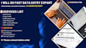 do fast data entry, copy paste and excel data entry within 24 hours