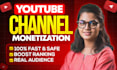 do complete youtube channel monetization promotion