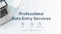 excel and word data entry, web research, digital marketing