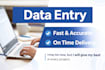 do accurate data entry, copy paste and typing work