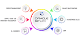 provide professional netsuite development and customization