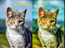 do professional video color grading and color correction for cinematic look