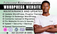 manage wordpress website update fix bugs errors wordpress plugin maintenance