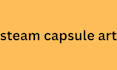 do steam capsule art