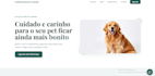 build a professional and responsive landing page