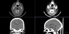 process your radiology study according to your specifications