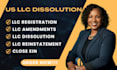 do US llc or corp dissolution, reinstatement, dissolution