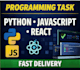 do python, javascript, react, programming task and project