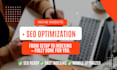 build and fully optimize your niche blog website
