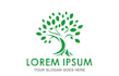 design a pine tree logo