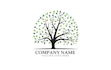 do modern tree logo design for your business