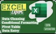 be your expert for excel data entry, typing and formatting