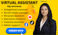 personal executive creative gohighlevel virtual assistant, social media manager