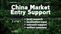 provide china market entry research and local insights