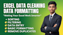 do excel cleaning and formatting professionally