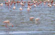 plan your perfect tanzania safari