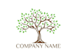 premium tree logo design  clean, unique,  brand focused