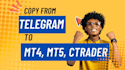 develop telegram signal copier to metatrader, ctrader, mt4 mt5 trade copier eas