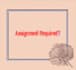 do  hand writing , translation and written design