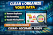 clean, format and organize your excel or CSV data