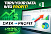 create a professional excel dashboard with data analysis