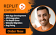 fix replit bugs, debug custom app, API integration replit app launch issues
