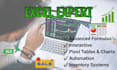create advanced excel formulas, dashboards and automation
