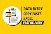 do data entry, copy paste, excel data entry and typing work