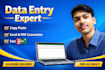 do accurate data entry, copy paste, excel, copy paste
