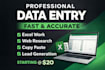 do targeted lead generation, data entry, and web research