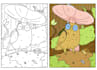 create cute cozy coloring book pages