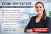 setup odoo accounting inventory system, customize modules, fix odoo erp issues