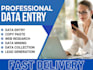 do data entry tasks in ms word, excel and inpage etc