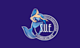 design unique underwater pool swimming pool logo