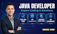 develop java projects oop gui swing and data structures