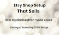 professionally set up and brand your etsy shop