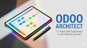 provide a professional odoo business analysis and process mapping