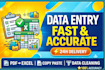 do do fast and accurate data entry, copy paste, pdf to excel