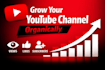 do fast youtube music video promotion