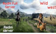 develop redm scripts and setup a full redm roleplay server